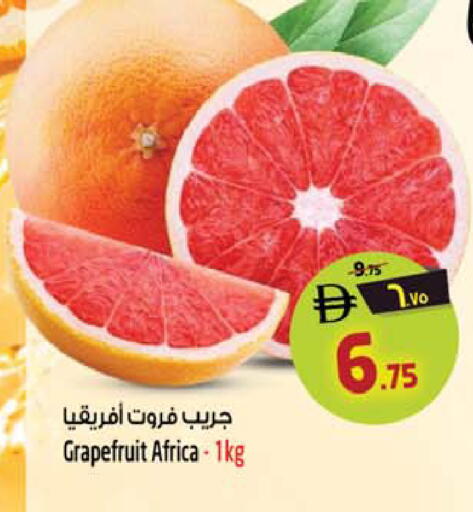 available at سفاري هايبر ماركت in الإمارات العربية المتحدة , الامارات - رَأْس ٱلْخَيْمَة