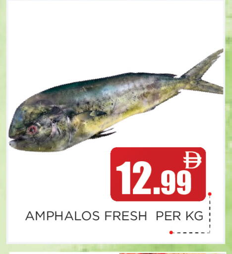 available at عين المدينة هايبرماركت in الإمارات العربية المتحدة , الامارات - الشارقة / عجمان
