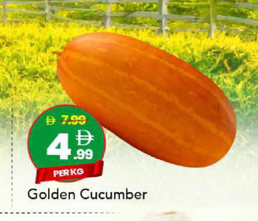 Cucumber available at مارك & سيف in الإمارات العربية المتحدة , الامارات - أبو ظبي