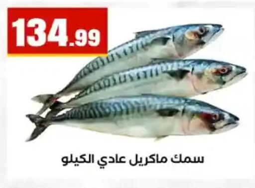 available at مارت فيل in Egypt - القاهرة
