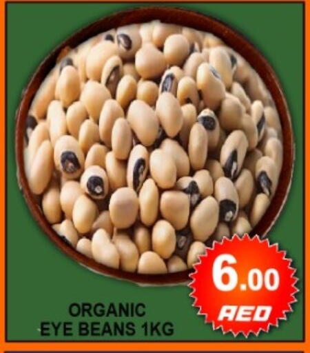available at جرين جيفت متجر أقسام in الإمارات العربية المتحدة , الامارات - دبي