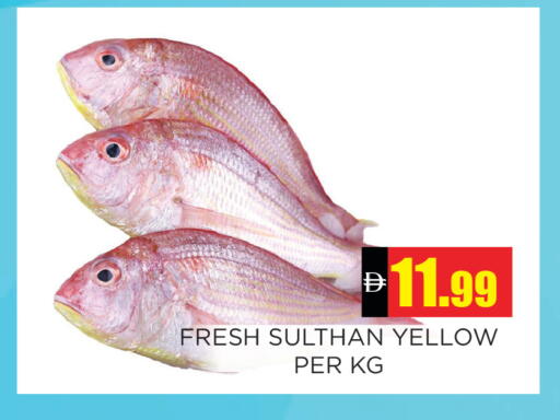 available at اينس المدينة هايبرماركت in الإمارات العربية المتحدة , الامارات - الشارقة / عجمان