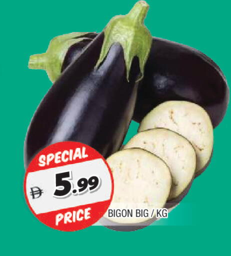 available at المدينة in الإمارات العربية المتحدة , الامارات - الشارقة / عجمان