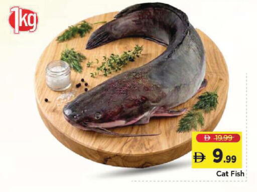 available at Mark & Save in UAE - Sharjah / Ajman