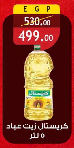 available at الرايه  ماركت in Egypt - القاهرة