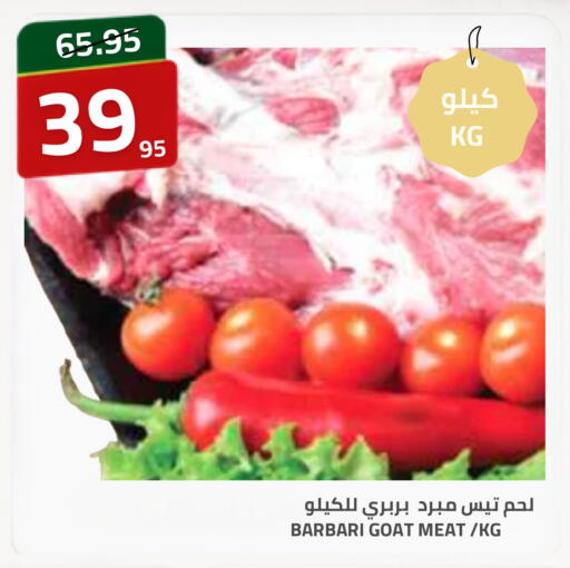 available at Astra Markets in KSA, Saudi Arabia, Saudi - Tabuk