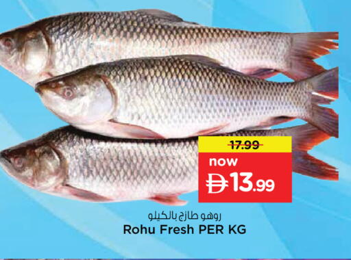 available at Nesto Hypermarket in UAE - Dubai