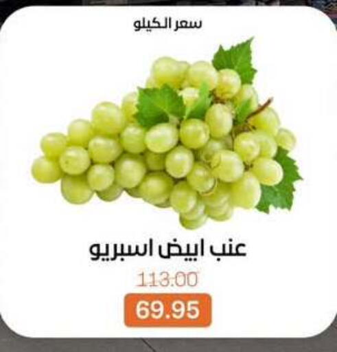 available at بيت الجملة in Egypt - القاهرة