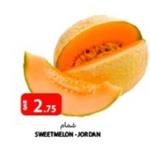 from Jordan available at Al Baladi Al Yawm in Qatar - Al Shamal