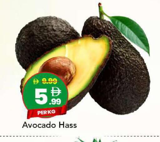 Avocado available at مارك & سيف in الإمارات العربية المتحدة , الامارات - أبو ظبي