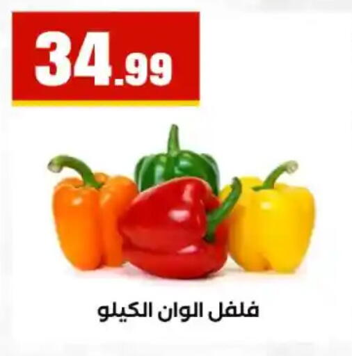available at مارت فيل in Egypt - القاهرة