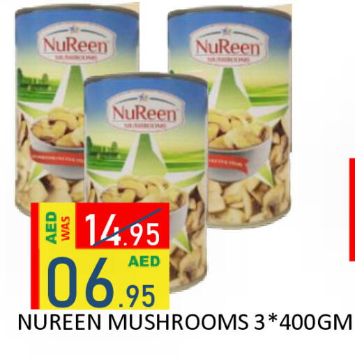 available at رويال جلف هايبرماركت in الإمارات العربية المتحدة , الامارات - أبو ظبي
