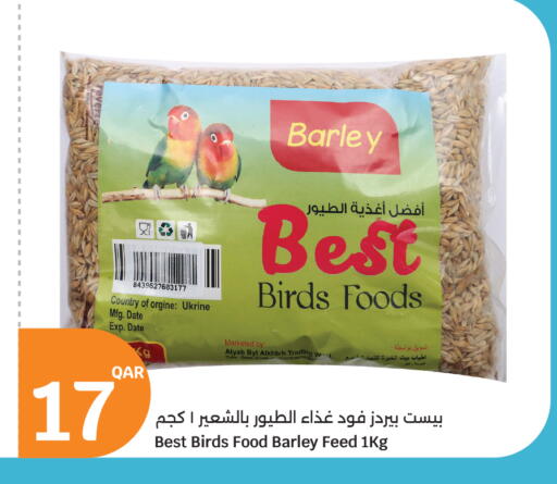 Date available at City Hypermarket in Qatar - Umm Salal
