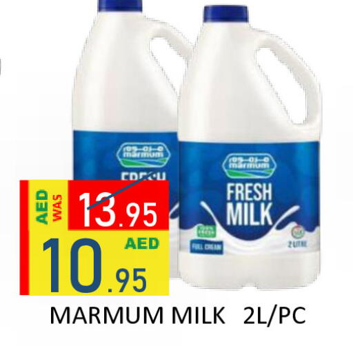 available at رويال جلف هايبرماركت in الإمارات العربية المتحدة , الامارات - أبو ظبي