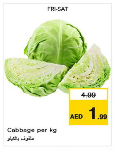 Cabbage available at نستو هايبرماركت in الإمارات العربية المتحدة , الامارات - أم القيوين‎
