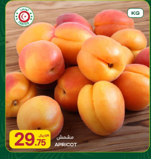Apricot available at Al Meera in Qatar - Al Shamal