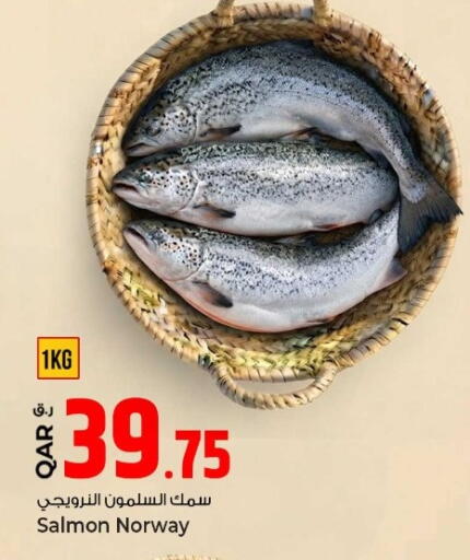 available at روابي هايبرماركت in قطر - الريان