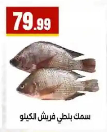 available at مارت فيل in Egypt - القاهرة