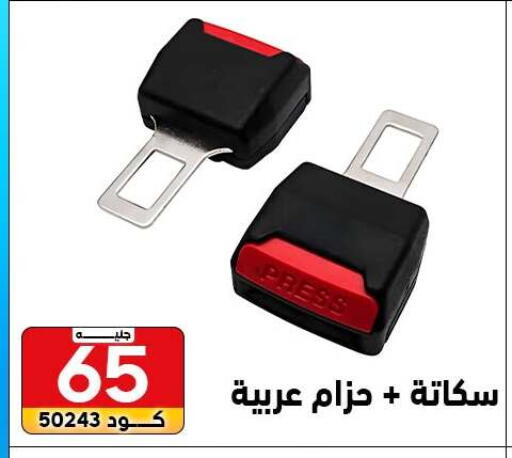 available at Center Elzelzal in Egypt - Cairo