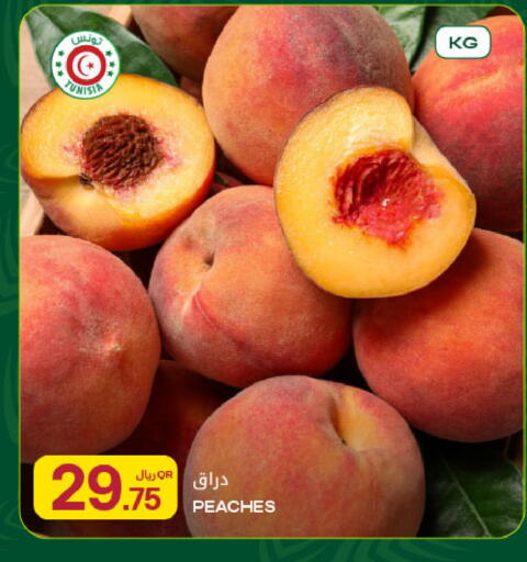 from Tunisia available at شركة الميرة للمواد الاستهلاكية in قطر - الشحانية