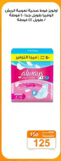 available at جملة ماركت in Egypt - القاهرة