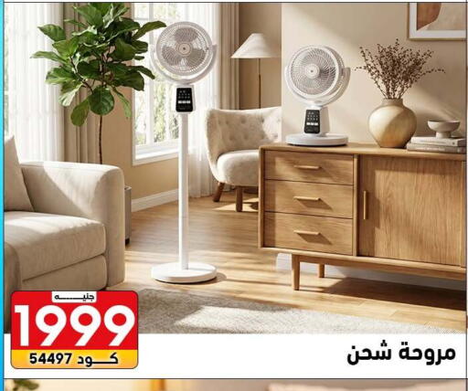 available at Center Elzelzal in Egypt - Cairo