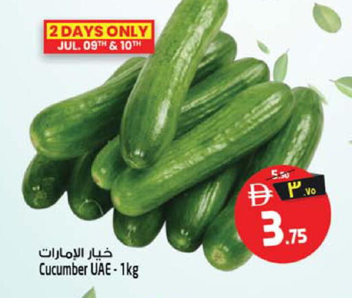 Cucumber available at Safari Hypermarket in UAE - Sharjah / Ajman
