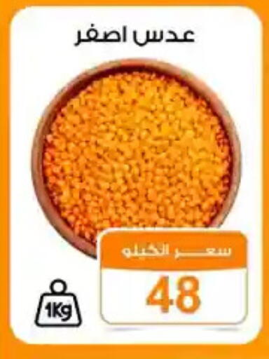 available at جملة ماركت in Egypt - القاهرة