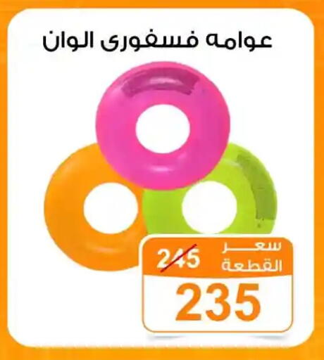 available at Gomla Market in Egypt - Cairo