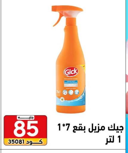 available at Center Elzelzal in Egypt - Cairo