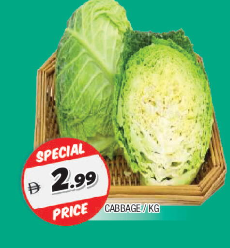 Cabbage available at المدينة in الإمارات العربية المتحدة , الامارات - الشارقة / عجمان