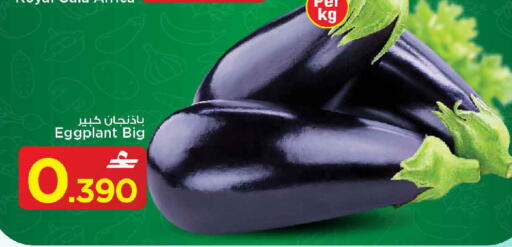 Eggplant available at مارك & سايف in عُمان - مسقط‎