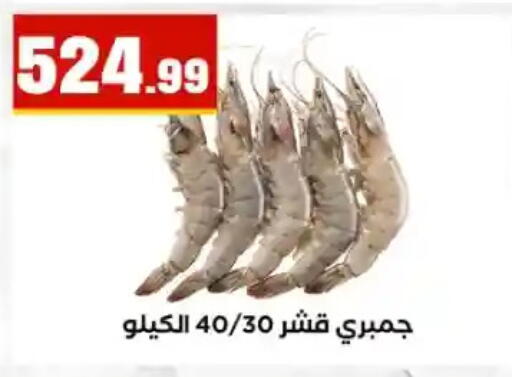 available at مارت فيل in Egypt - القاهرة