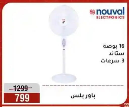 available at المرشدي in Egypt - القاهرة