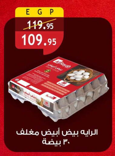 available at الرايه  ماركت in Egypt - القاهرة