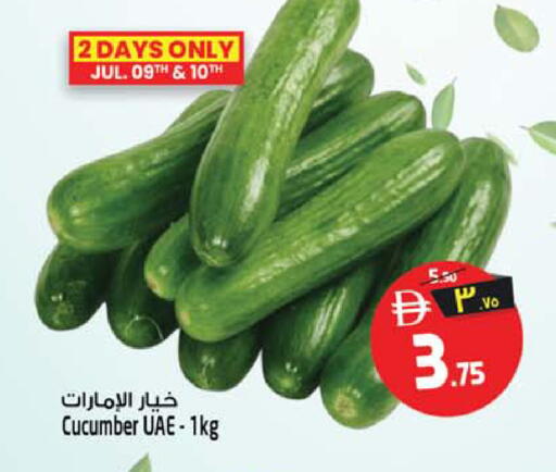 Cucumber available at سفاري هايبر ماركت in الإمارات العربية المتحدة , الامارات - رَأْس ٱلْخَيْمَة