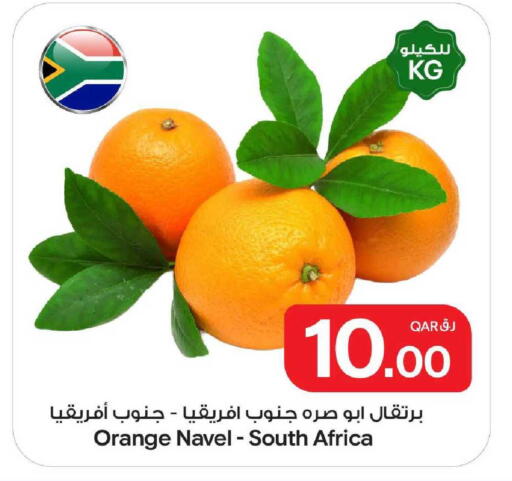 Orange from South Africa available at بن داود in قطر - الدوحة