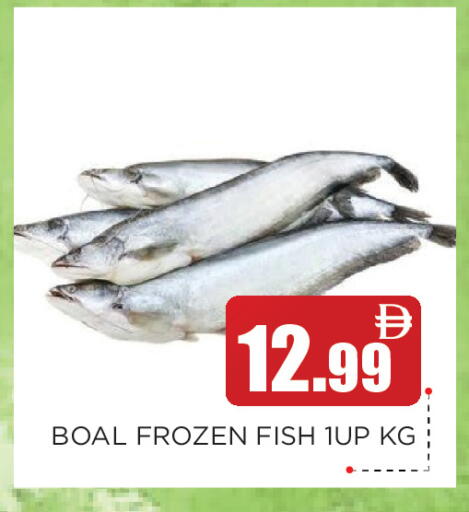 available at عين المدينة هايبرماركت in الإمارات العربية المتحدة , الامارات - الشارقة / عجمان