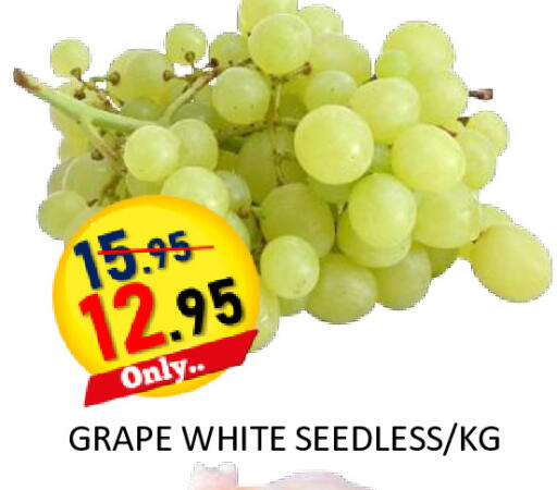 available at رويال جلف هايبرماركت in الإمارات العربية المتحدة , الامارات - أبو ظبي