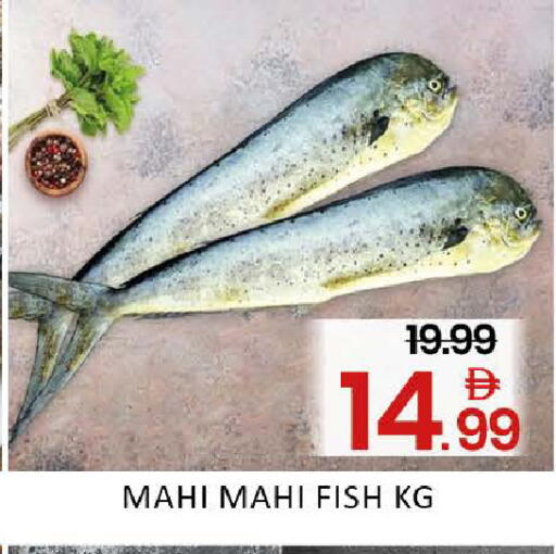 Mango available at Mango Hypermarket LLC in UAE - Dubai