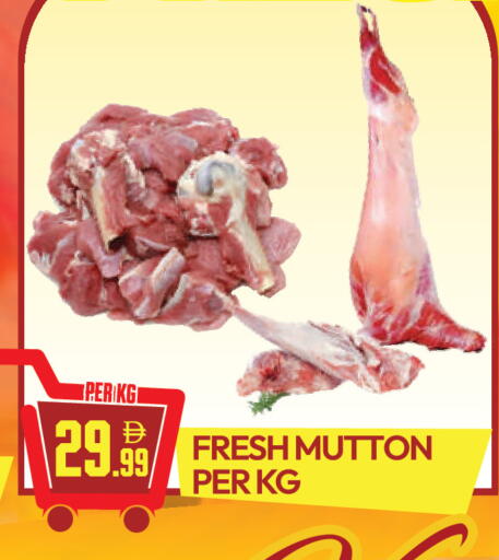 available at دريم لاند in الإمارات العربية المتحدة , الامارات - دبي
