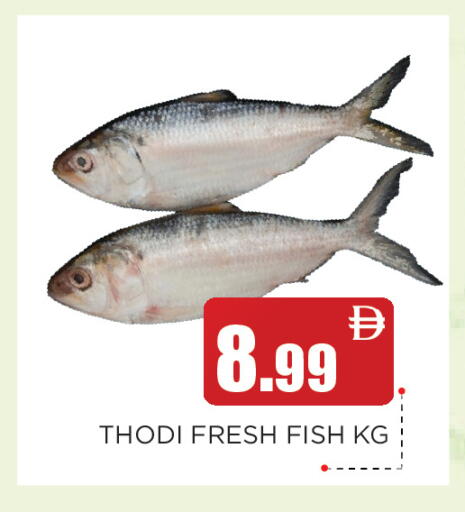 available at عين المدينة هايبرماركت in الإمارات العربية المتحدة , الامارات - الشارقة / عجمان