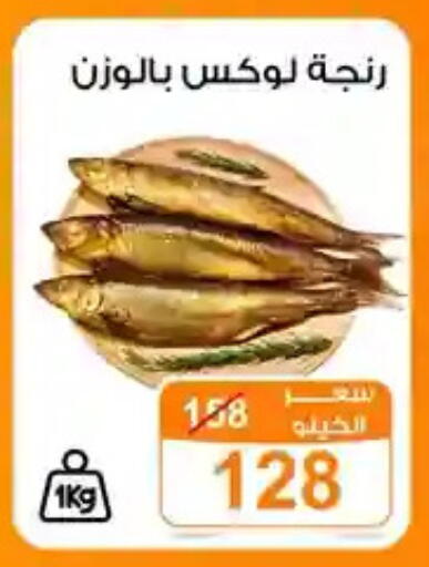 available at جملة ماركت in Egypt - القاهرة
