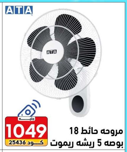 available at Center Elzelzal in Egypt - Cairo