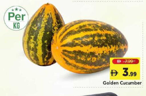 Cucumber available at Mark & Save in UAE - Dubai