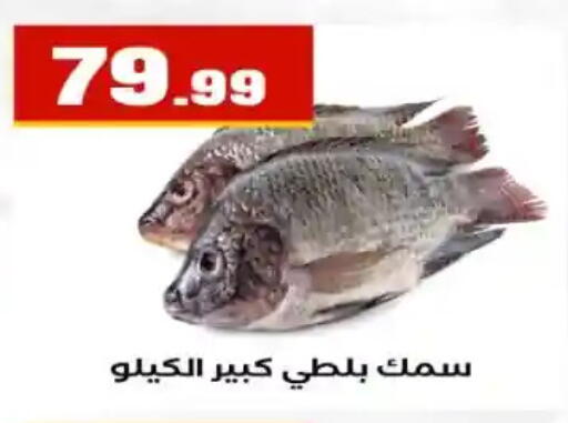 available at مارت فيل in Egypt - القاهرة
