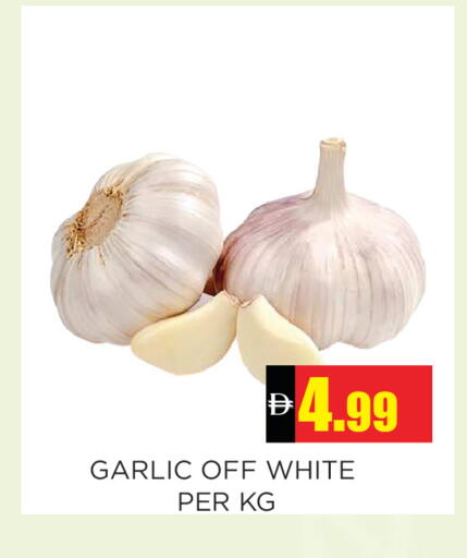 Garlic available at اينس المدينة هايبرماركت in الإمارات العربية المتحدة , الامارات - الشارقة / عجمان