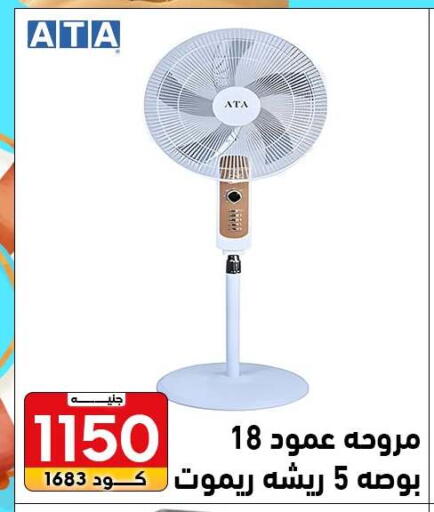 available at Center Elzelzal in Egypt - Cairo