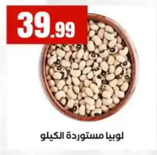 available at مارت فيل in Egypt - القاهرة
