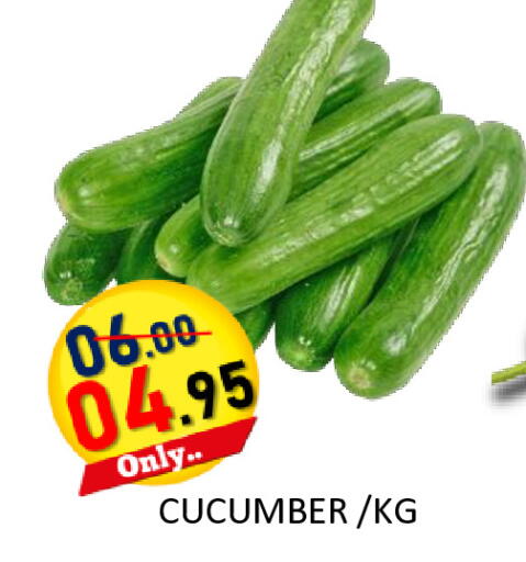 Cucumber available at رويال جلف هايبرماركت in الإمارات العربية المتحدة , الامارات - أبو ظبي